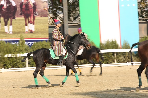 Поло в Узбекистане