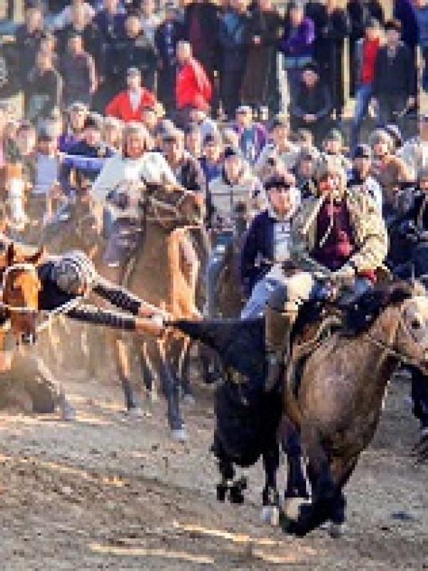 Национальное достояние